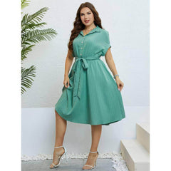 Plus Size Collared Button Waist Sash Flared Hem Dress