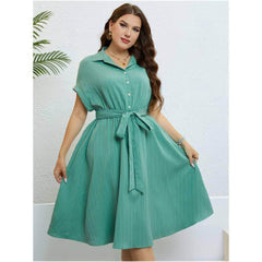 Plus Size Collared Button Waist Sash Flared Hem Dress