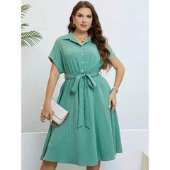 Plus Size Collared Button Waist Sash Flared Hem Dress