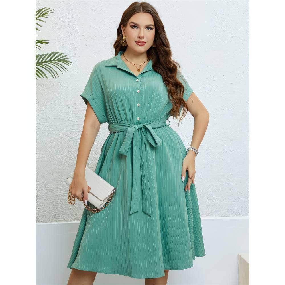 Plus Size Collared Button Waist Sash Flared Hem Dress