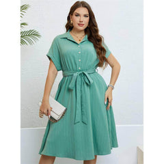 Plus Size Collared Button Waist Sash Flared Hem Dress
