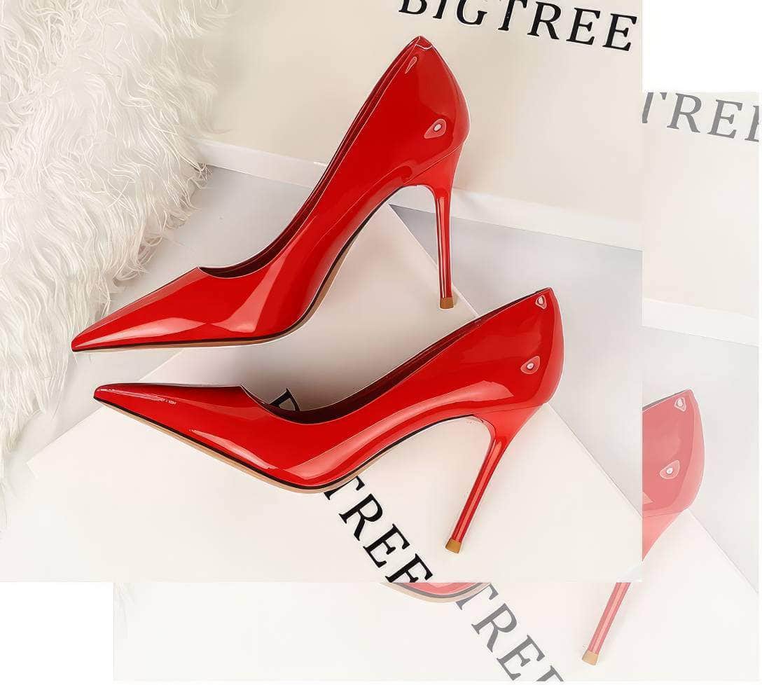 Pointed Toes Stiletto Pump Heels