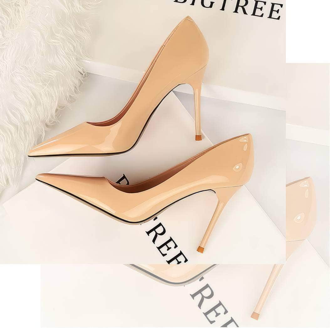 Pointed Toes Stiletto Pump Heels