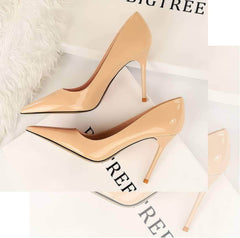 Pointed Toes Stiletto Pump Heels