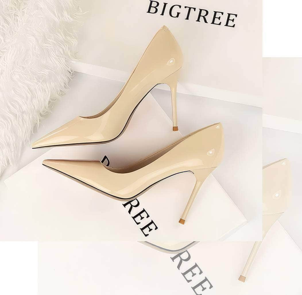 Pointed Toes Stiletto Pump Heels