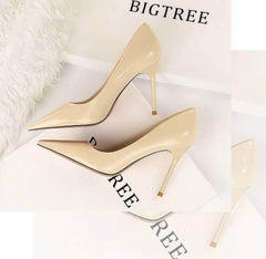 Pointed Toes Stiletto Pump Heels