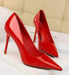 Pointed Toes Stiletto Pump Heels