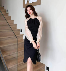 Sheer Long Sleeves Pleated Asymmetrical Hem Dress