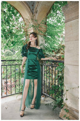 Sheer Mesh Overlay Bouffant Sleeve Satin Dress