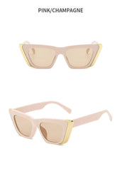 Stark Eyeglasses Collection