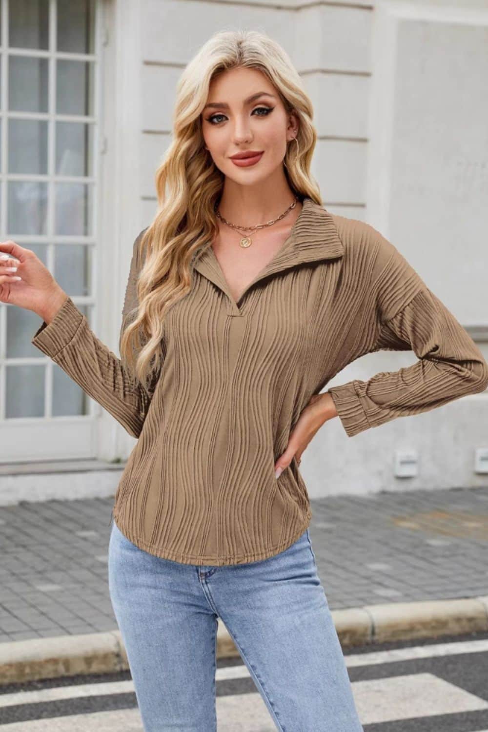 Texture Collared Neck Long Sleeve Blouse