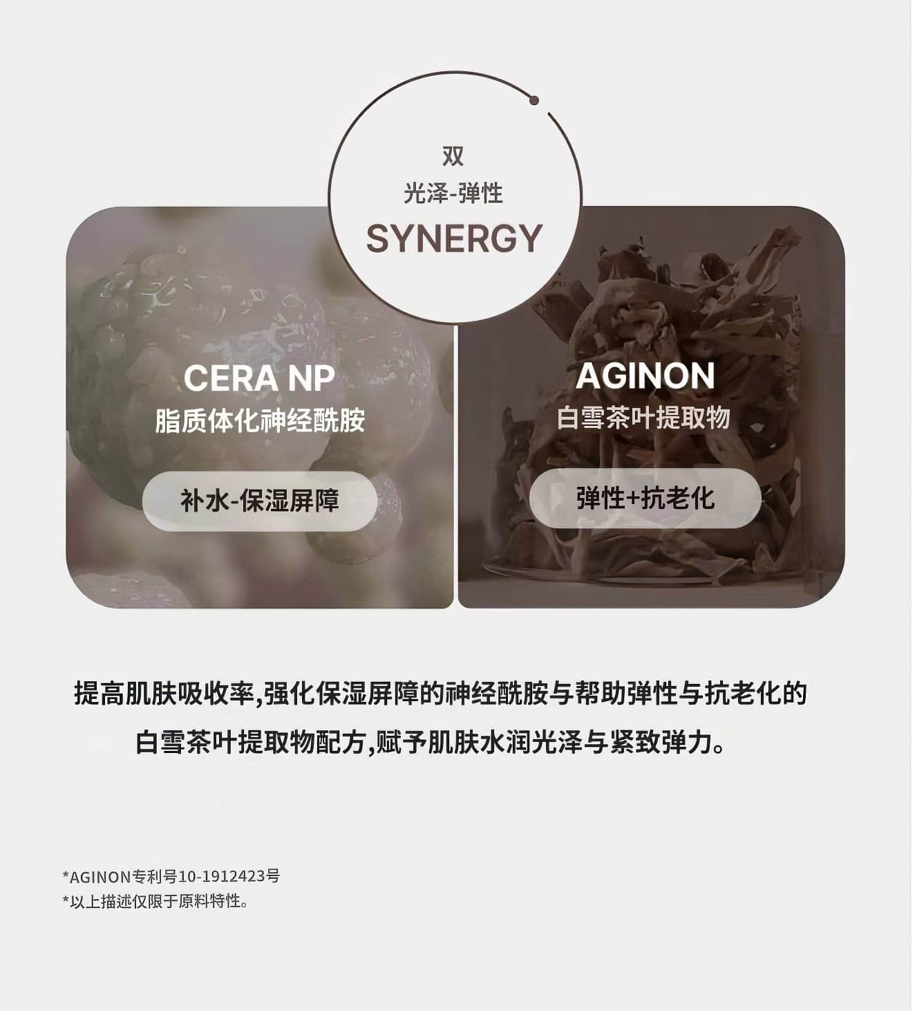 THERALOGIC Phytocera Pro Antioxidant 10X Ampoule 50ml