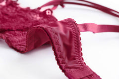 Trimmed Floral Embroidered Double Strap Bra Panty Set