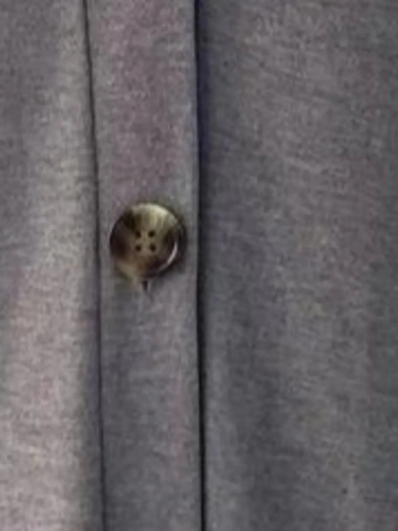 V-Neck Button Front Casual Top