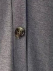 V-Neck Button Front Casual Top