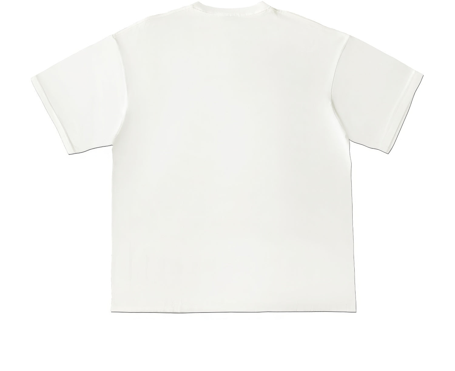 Duck Hunters Graphic Tee with Funny Animal Print