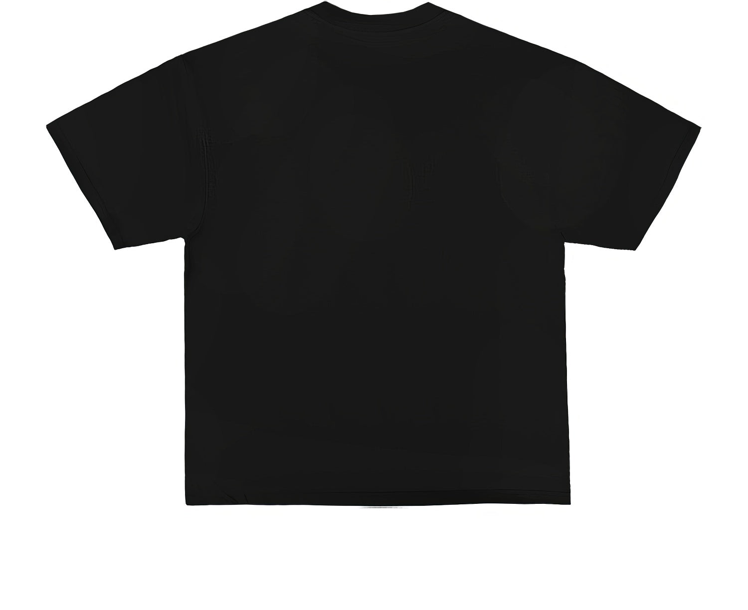 Duck Hunters Graphic Tee with Funny Animal Print