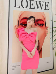 Bow Adorned One Shoulder Frill Mini Dress