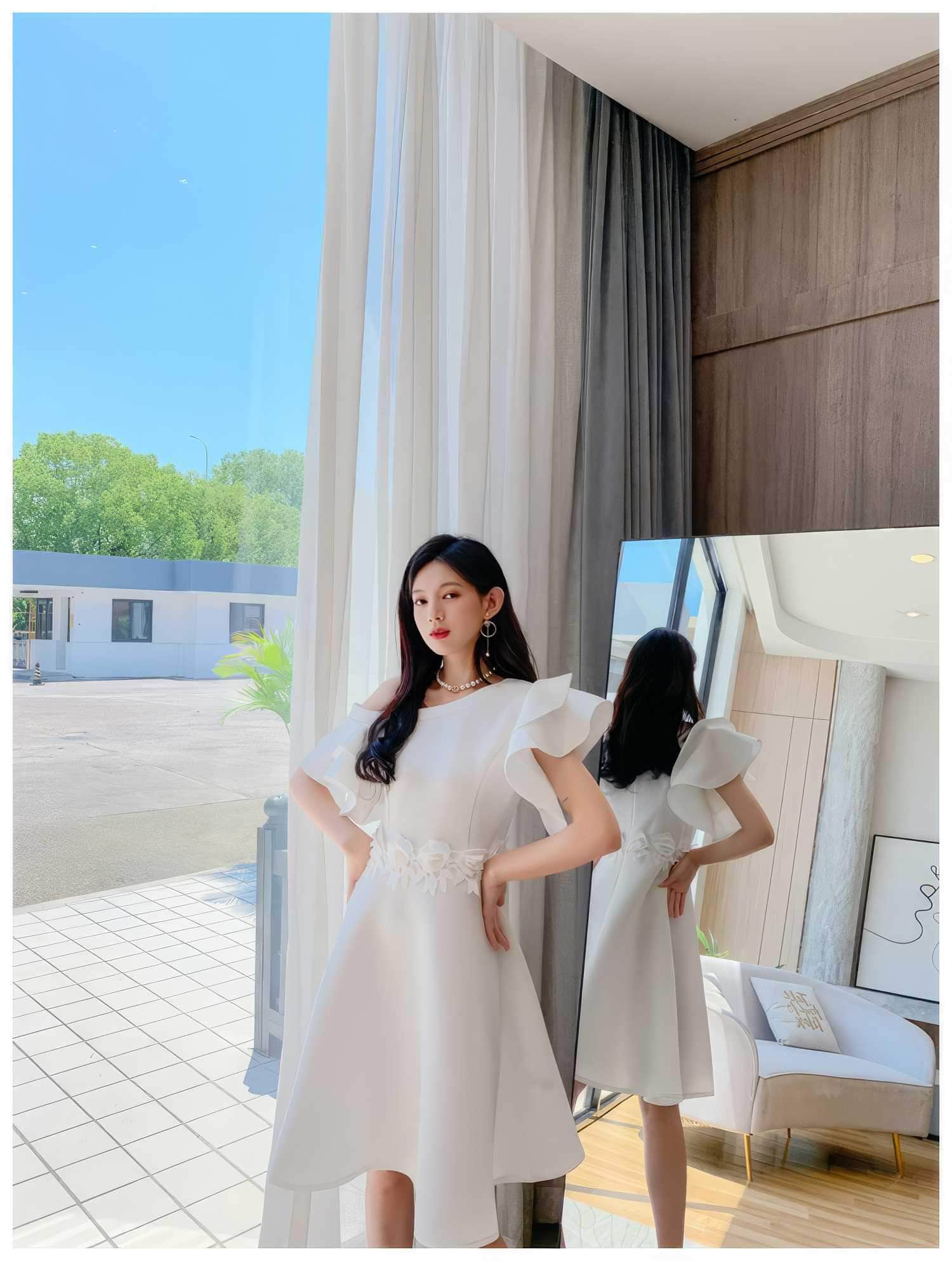 Butterfly Sleeves Floral Embroidered A-Line Dress