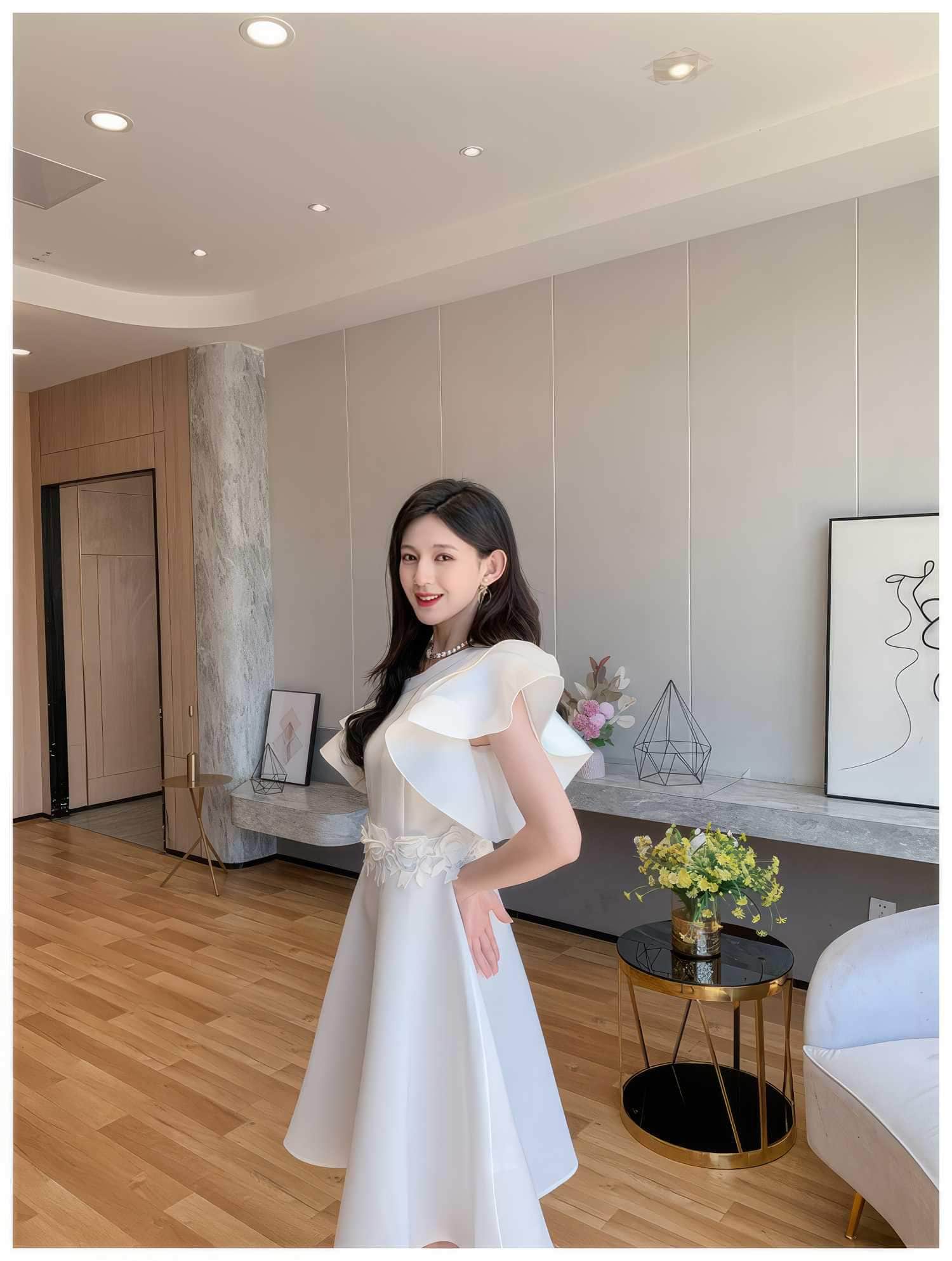 Butterfly Sleeves Floral Embroidered A-Line Dress