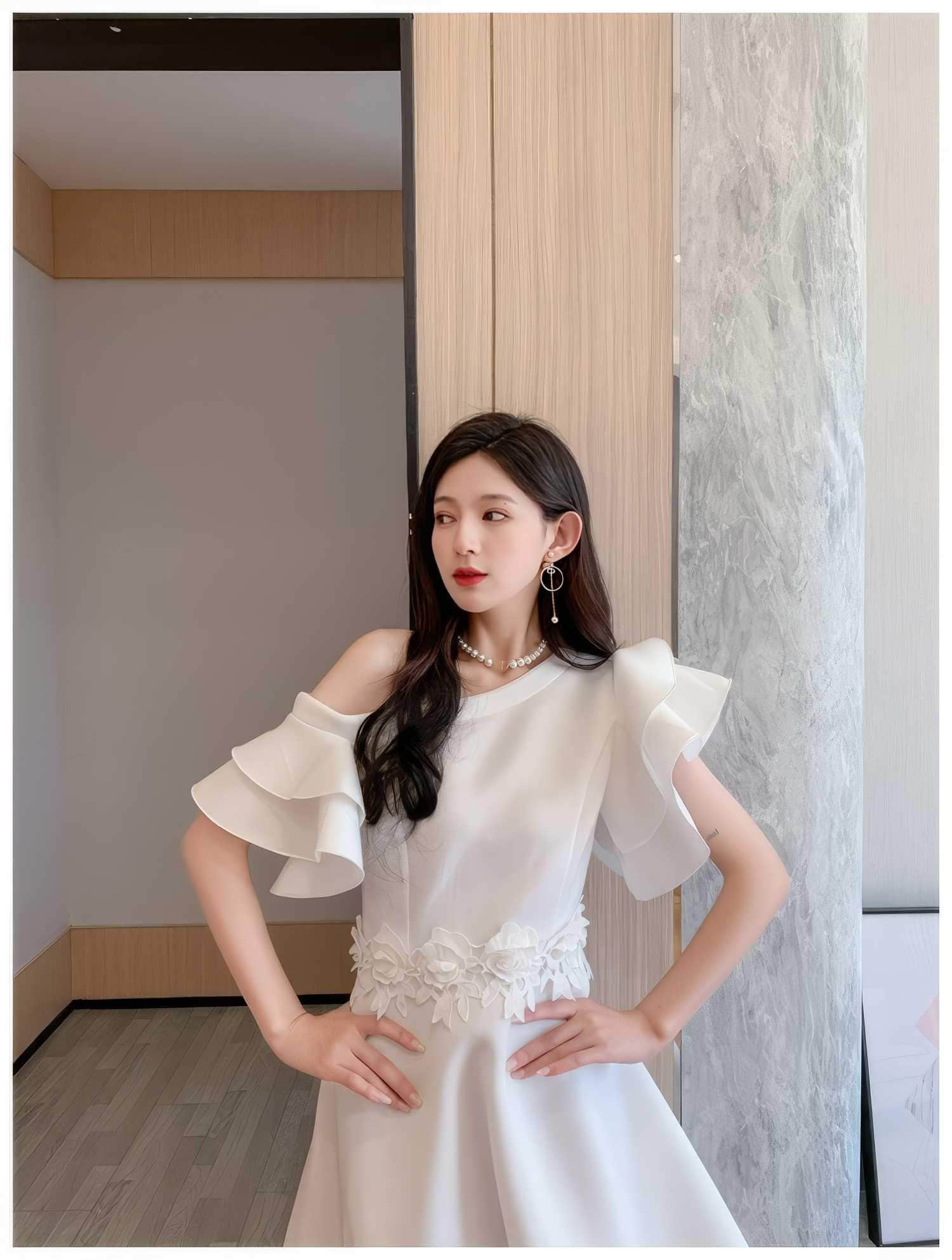 Butterfly Sleeves Floral Embroidered A-Line Dress