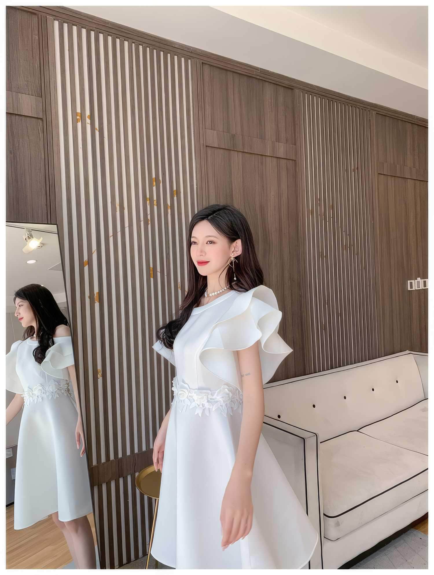 Butterfly Sleeves Floral Embroidered A-Line Dress