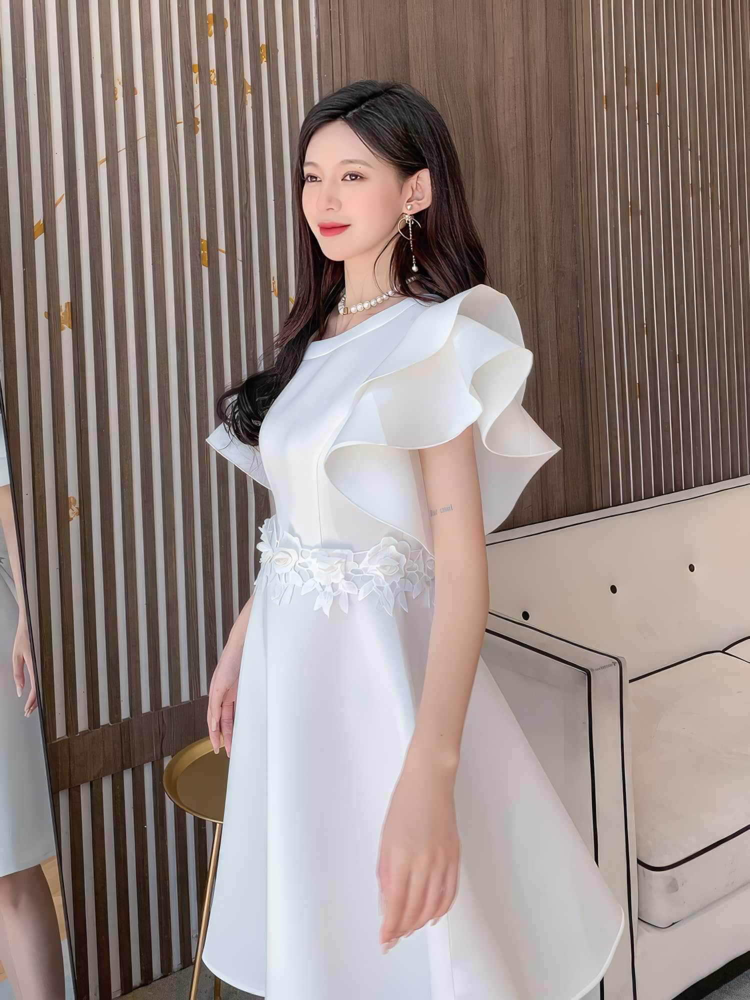 Butterfly Sleeves Floral Embroidered A-Line Dress