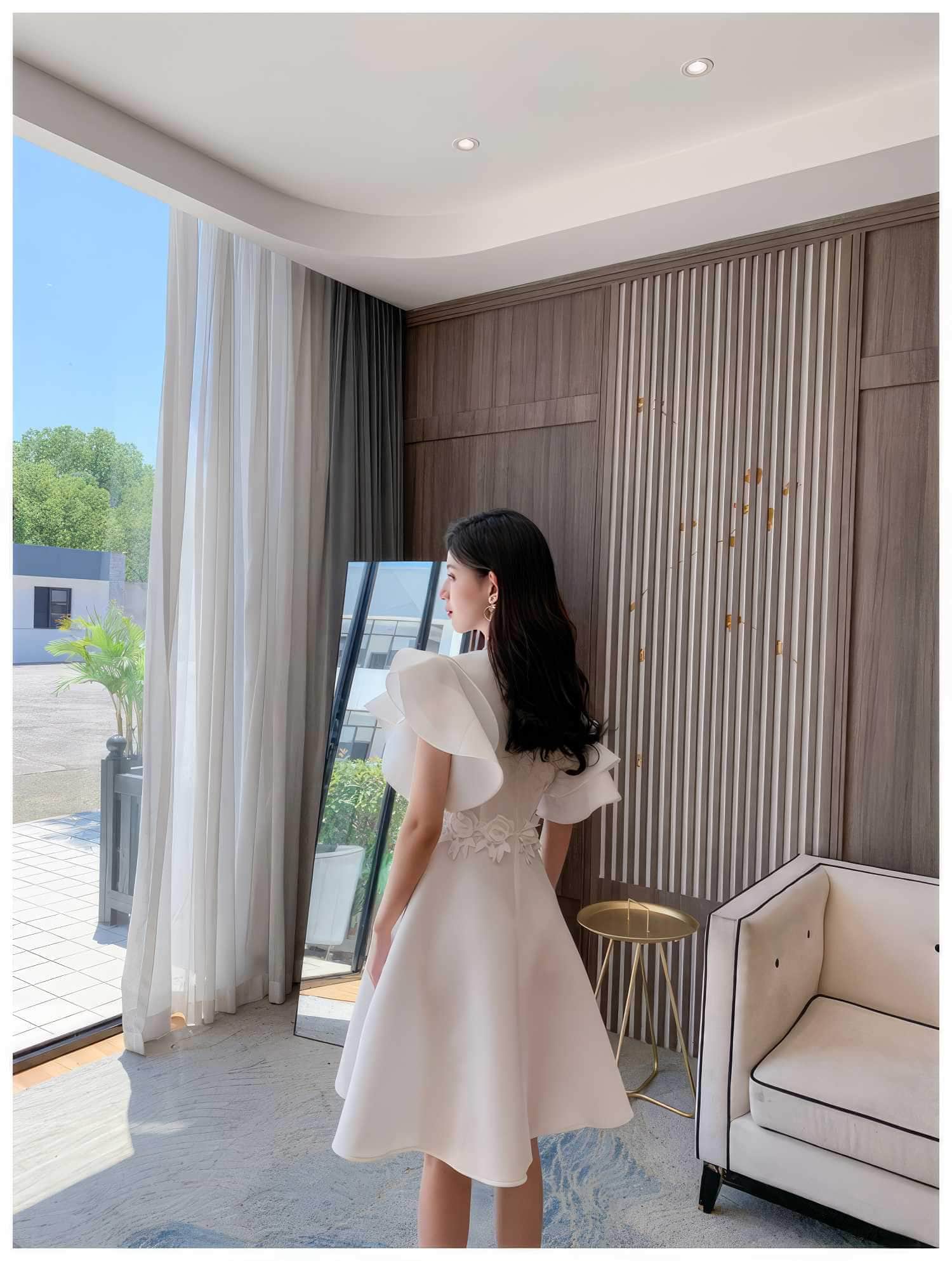 Butterfly Sleeves Floral Embroidered A-Line Dress