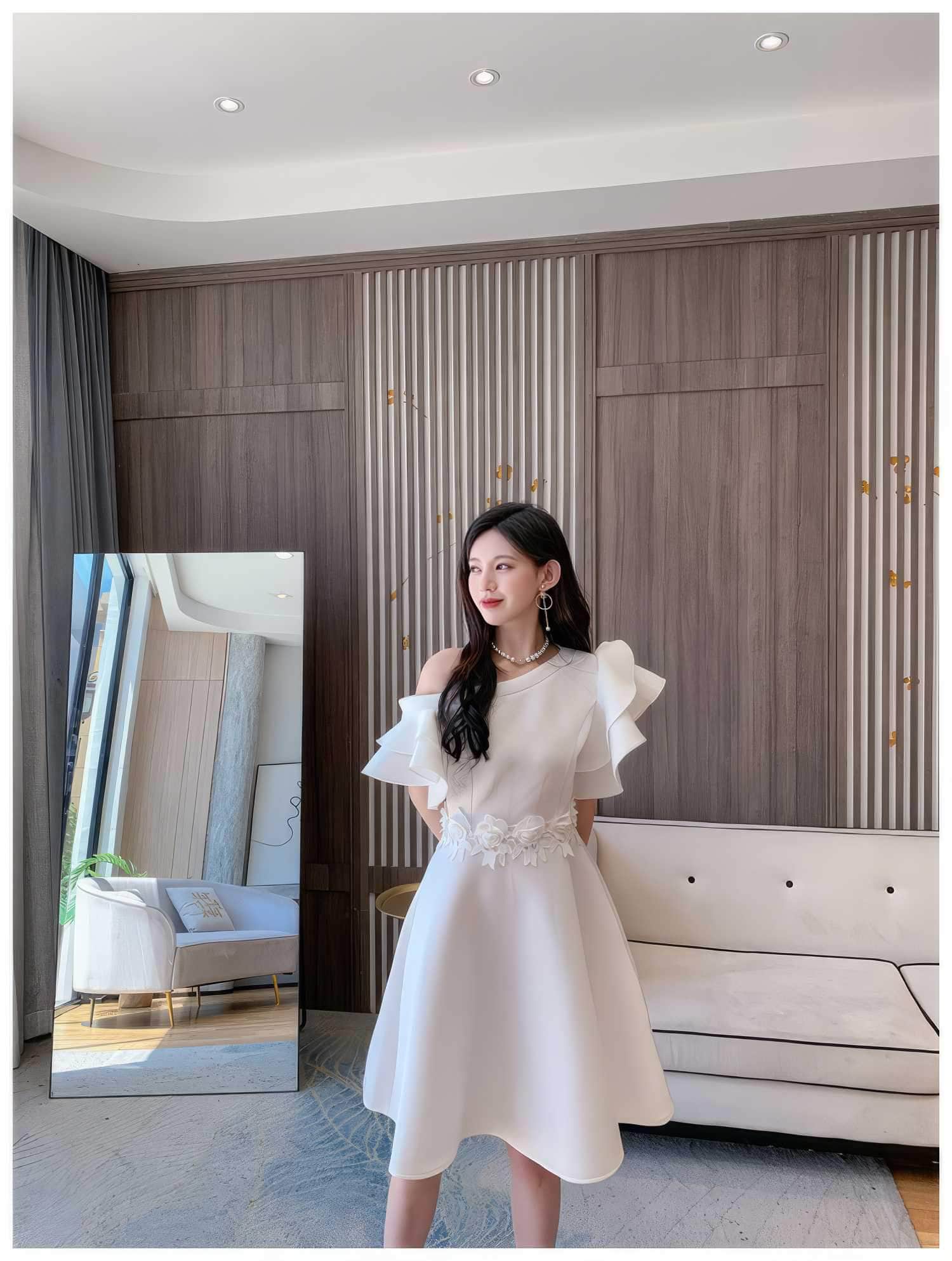 Butterfly Sleeves Floral Embroidered A-Line Dress