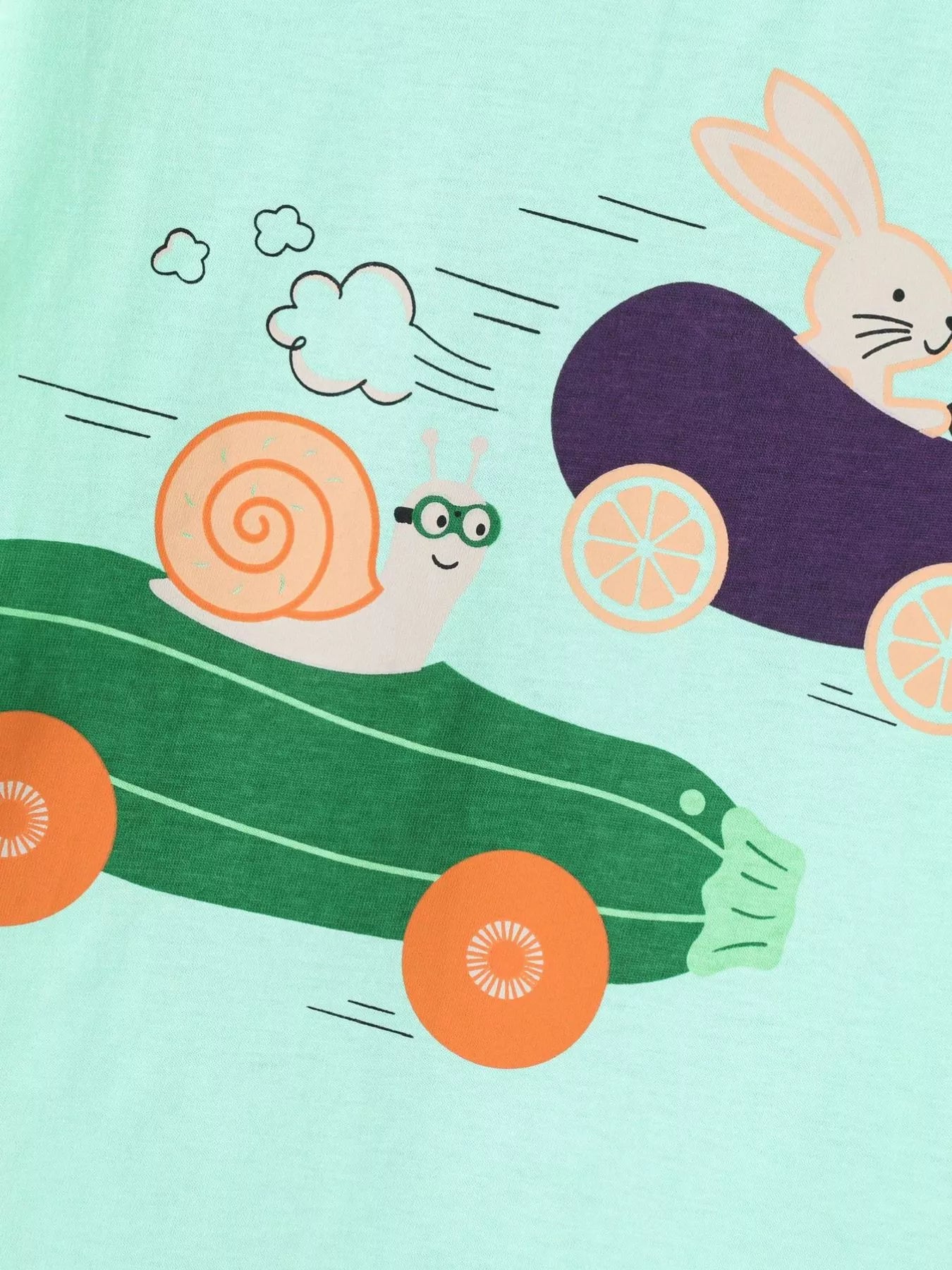 Close up of the snail in a green car and the bunny in a purple car racing