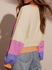 Color Block Drop Shoulder Sweatshirt
