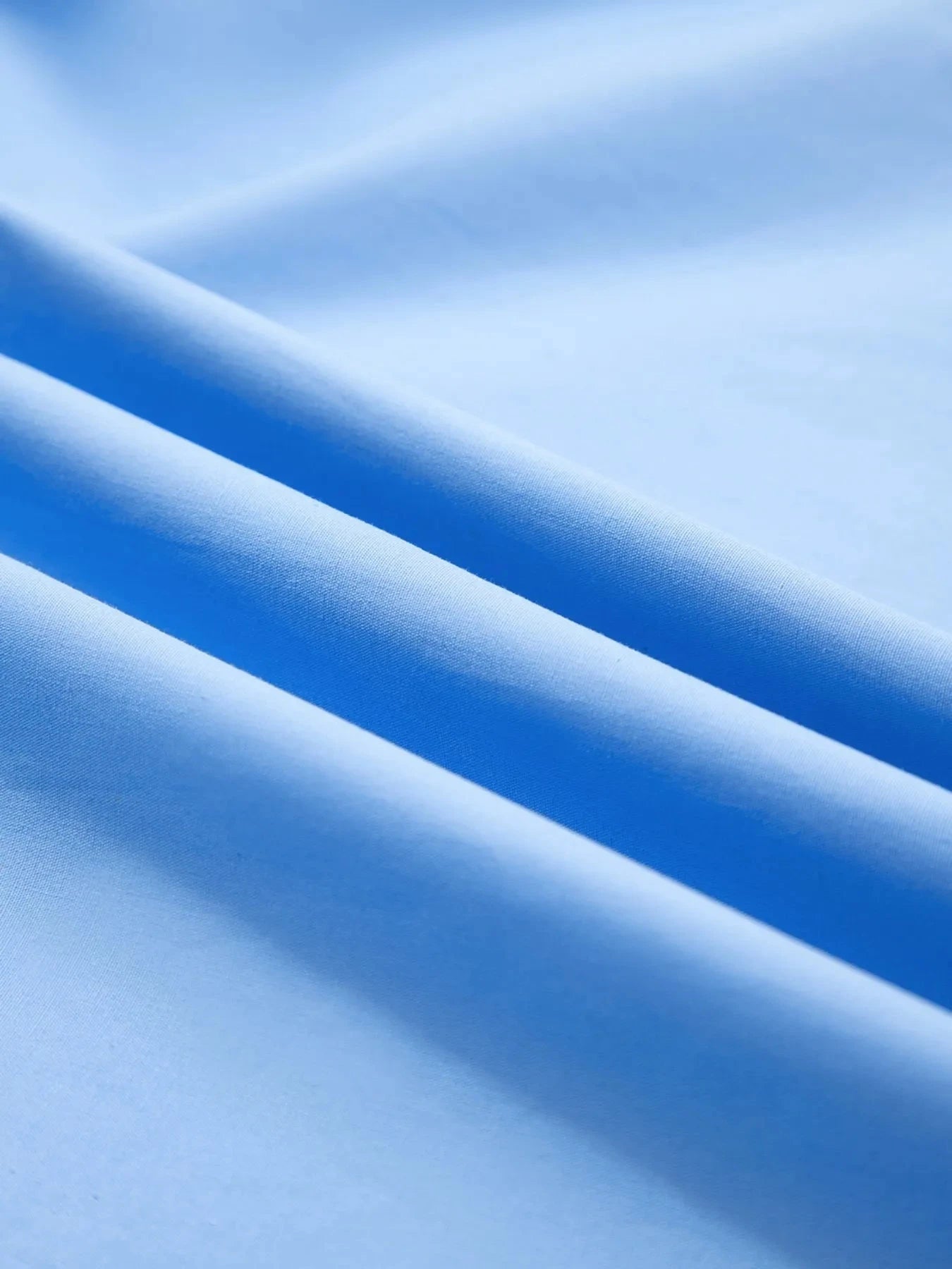 Contrast Trim Notched Short Sleeve Blouse