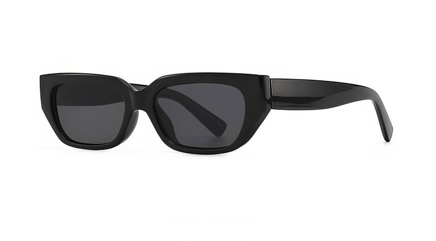 Fashion Small Mod Sunglasses Black Gray / Resin