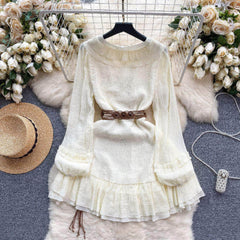 Lantern Sleeves Shirred Frill Hem Skater Dress