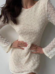 Long Sleeve Bodycon Mini Dress