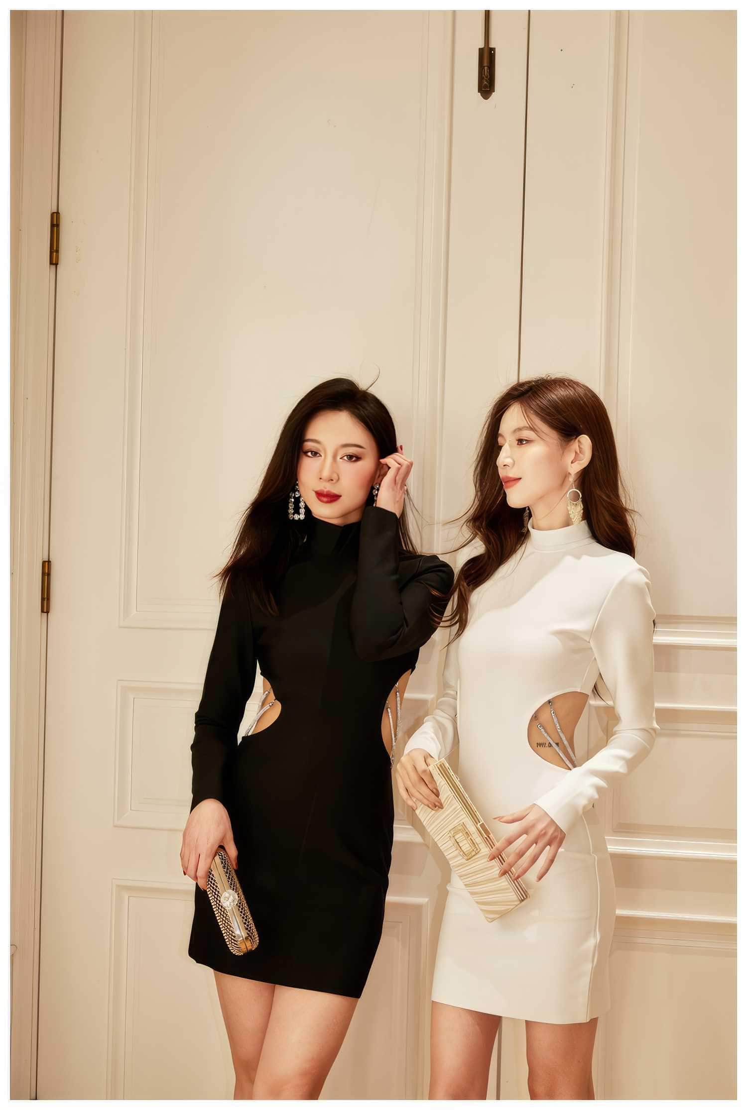 Long Sleeve Turtleneck cut Out Mini Dress