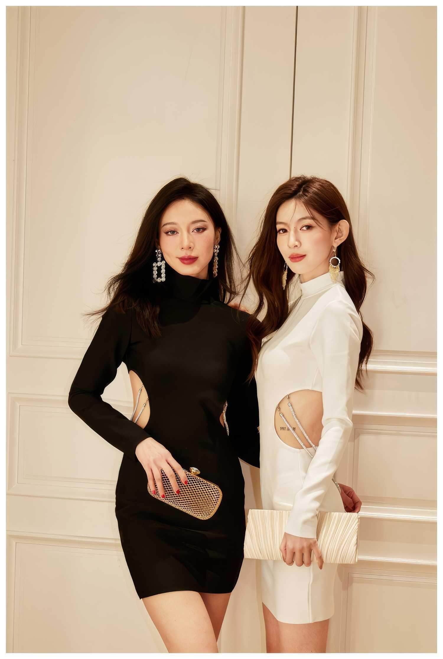 Long Sleeve Turtleneck cut Out Mini Dress