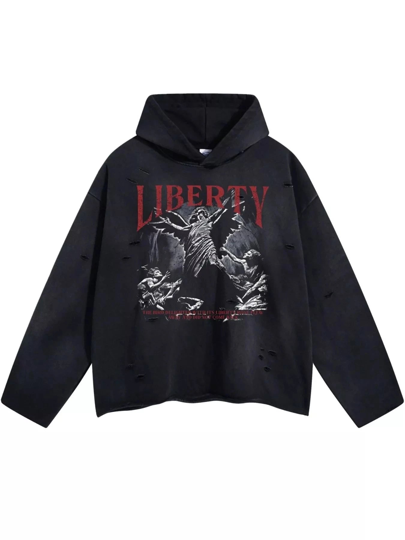 Men's Graphic Long Sleeve Hoodie