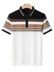 Men's Plus Size Striped Short Sleeve Polo
