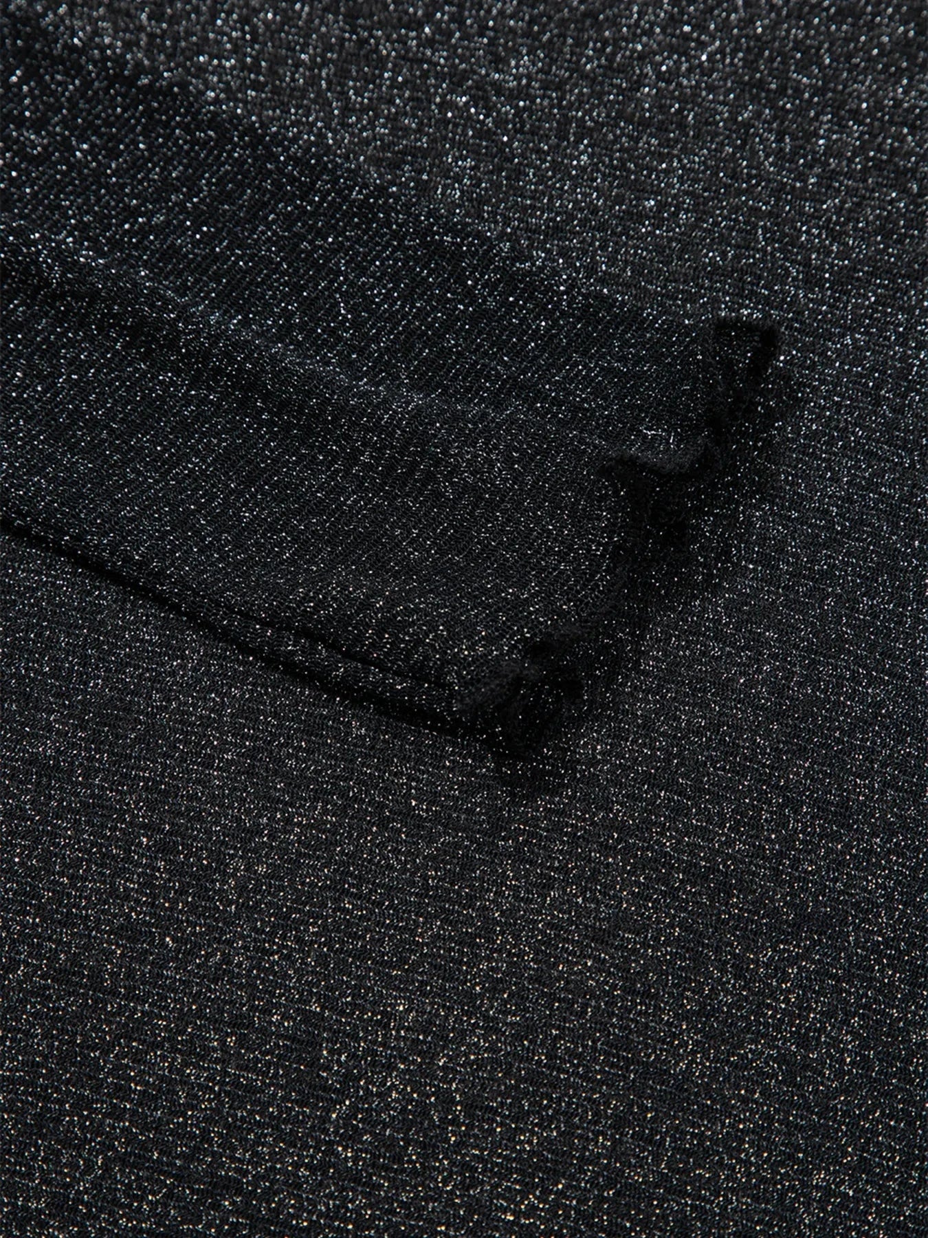 Metallic Glitter Mesh Long Sleeve Top