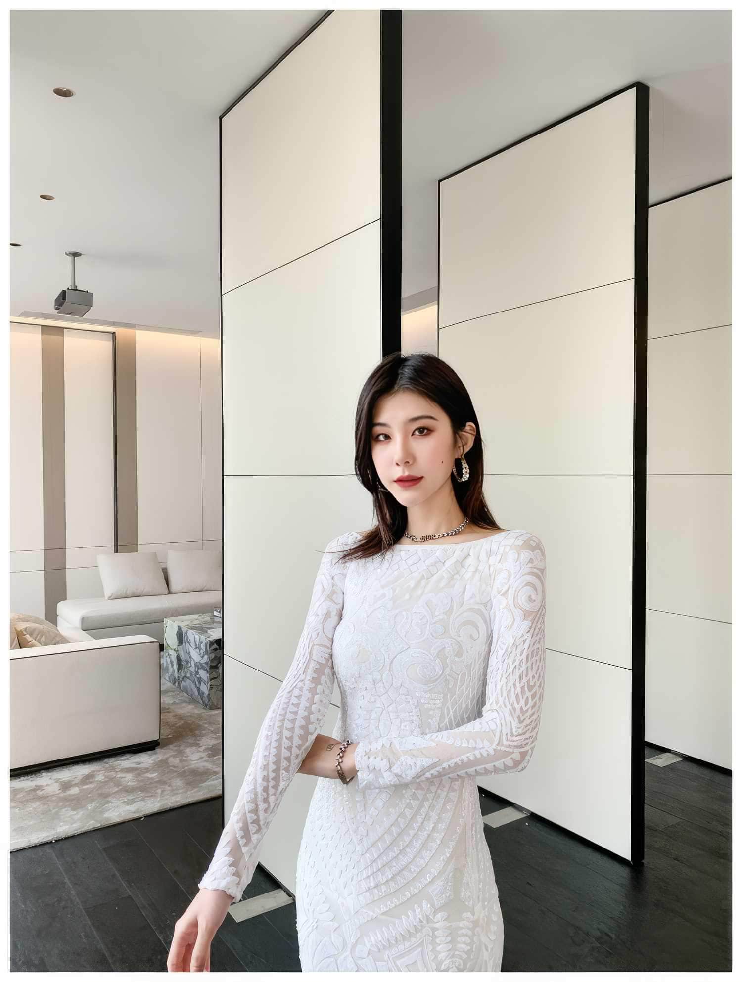 Sequin Embroidered Longsleeve Mermaid Dress