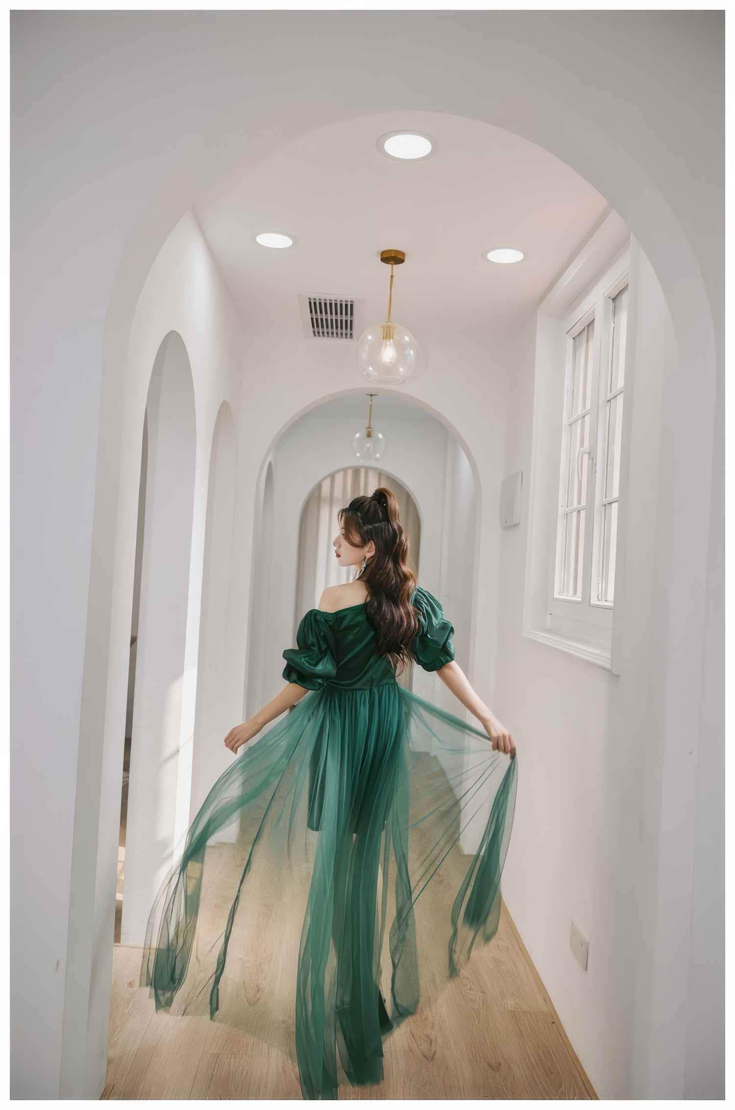 Sheer Mesh Overlay Bouffant Sleeve Satin Dress