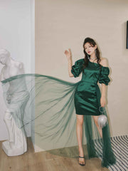 Sheer Mesh Overlay Bouffant Sleeve Satin Dress