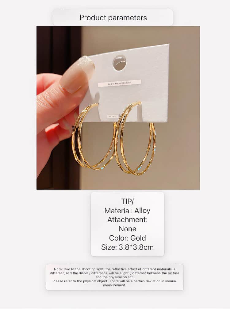 Stylish Gold Tone Double Hoop Earrings