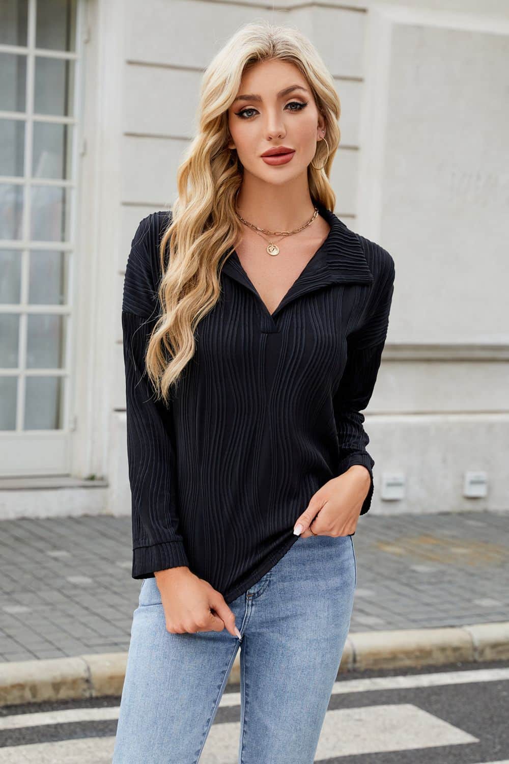 Texture Collared Neck Long Sleeve Blouse Black / S