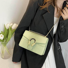Trendy Metal Chain Crossbody Bag
