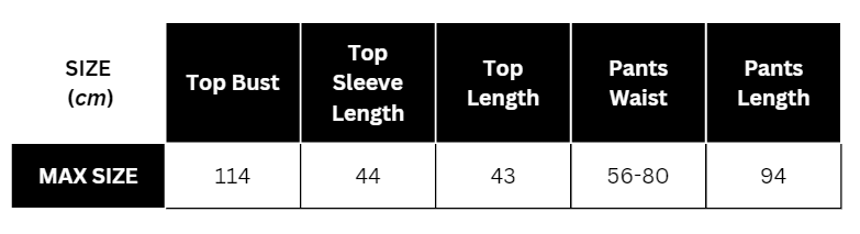Two-Piece Pleated Flounce Sleeves Top with High Waist Flared Pants